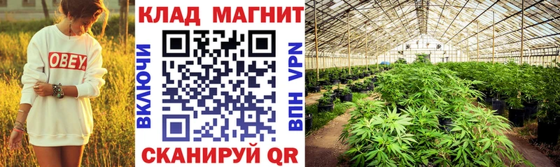 Виды наркоты Гороховец COCAIN  Бошки Шишки  Alpha-PVP  Амфетамин  МЕФ  ГАШИШ 