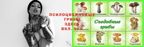 амф Баксан
