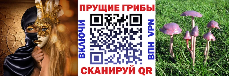 Псилоцибиновые грибы прущие грибы  KRAKEN tor  Гороховец 